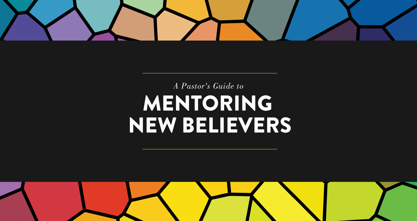 A Pastor's Guide to Mentoring New Believers