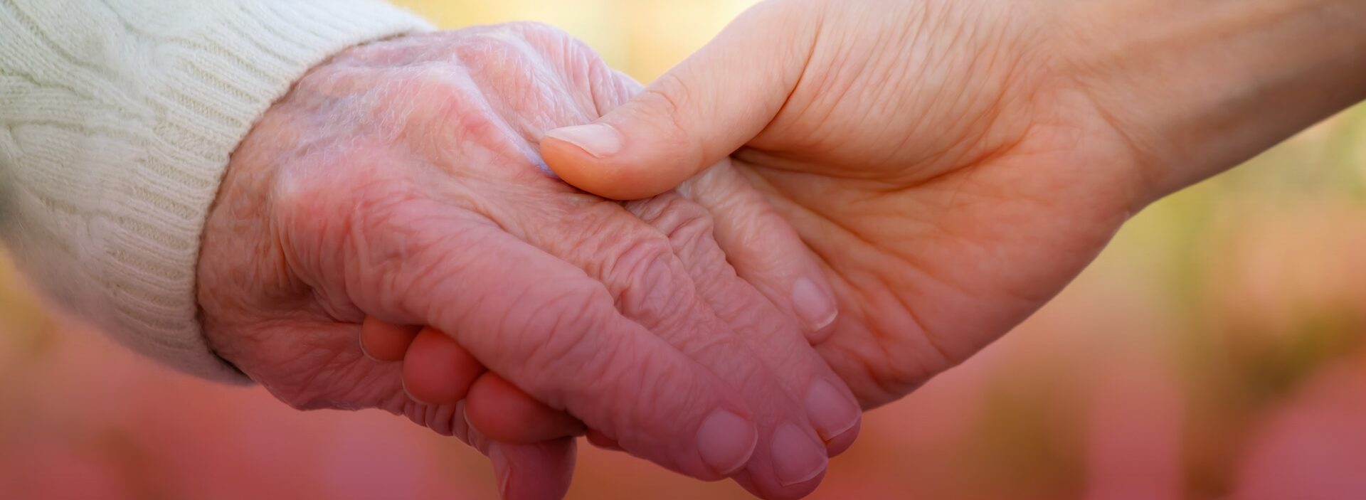 nurse holding the hand of elderly patient